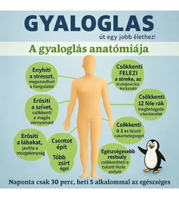 A gyaloglás egészségügyi előnyei-cipő választás